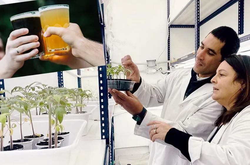 CONICET-investigacion-cerveza_ NA
