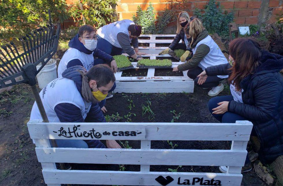 huerta comunitaria_00