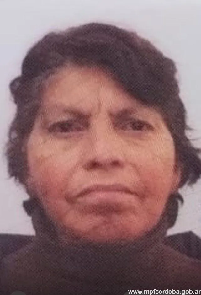 búsqueda