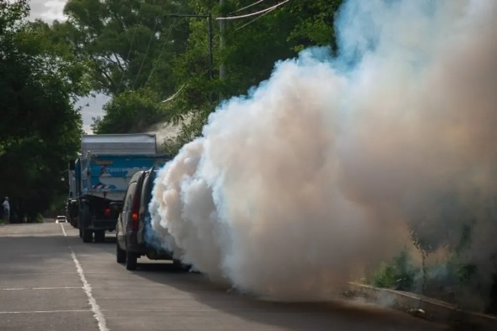 fumigacion - dengue