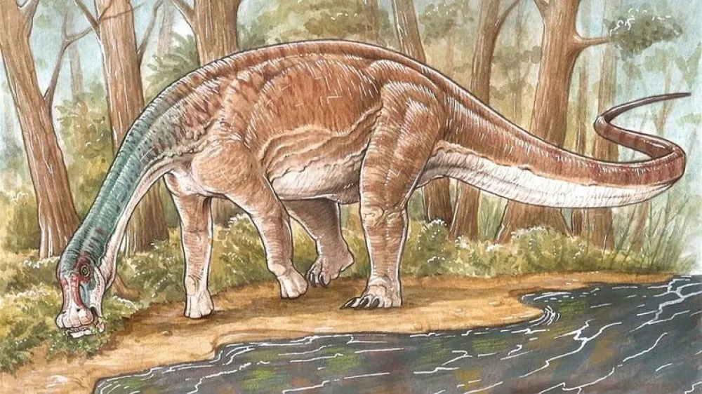 Inawentu oslatus
