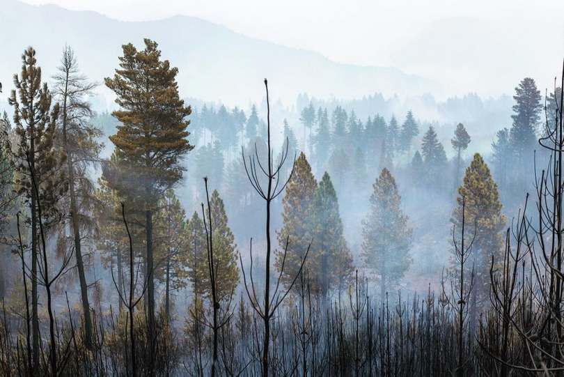 3 - Incendios - El Hoyo - Chubut