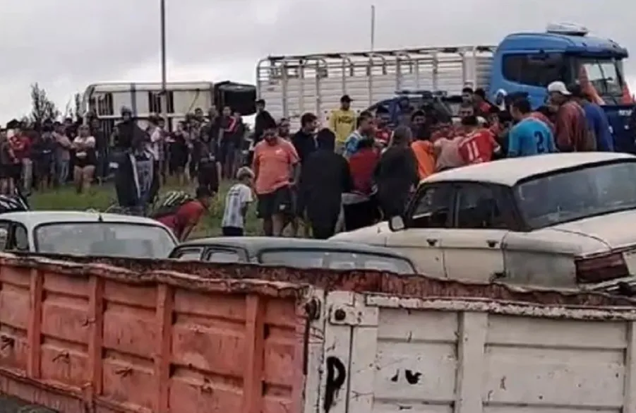 camión con vacas