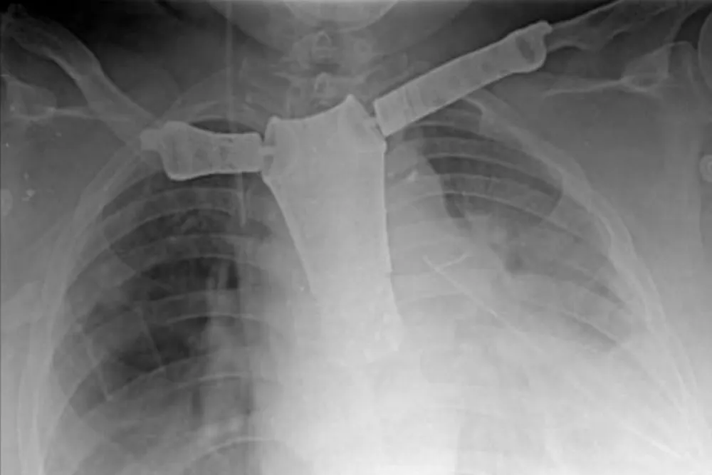 WhatsApp-Image-2024-05-21-at-11.48.37