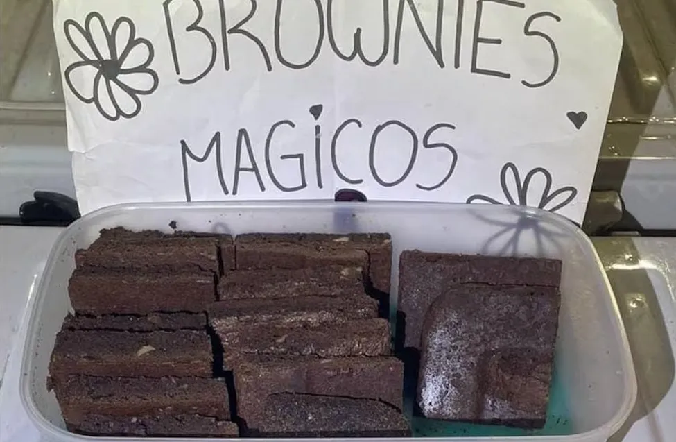 brownies