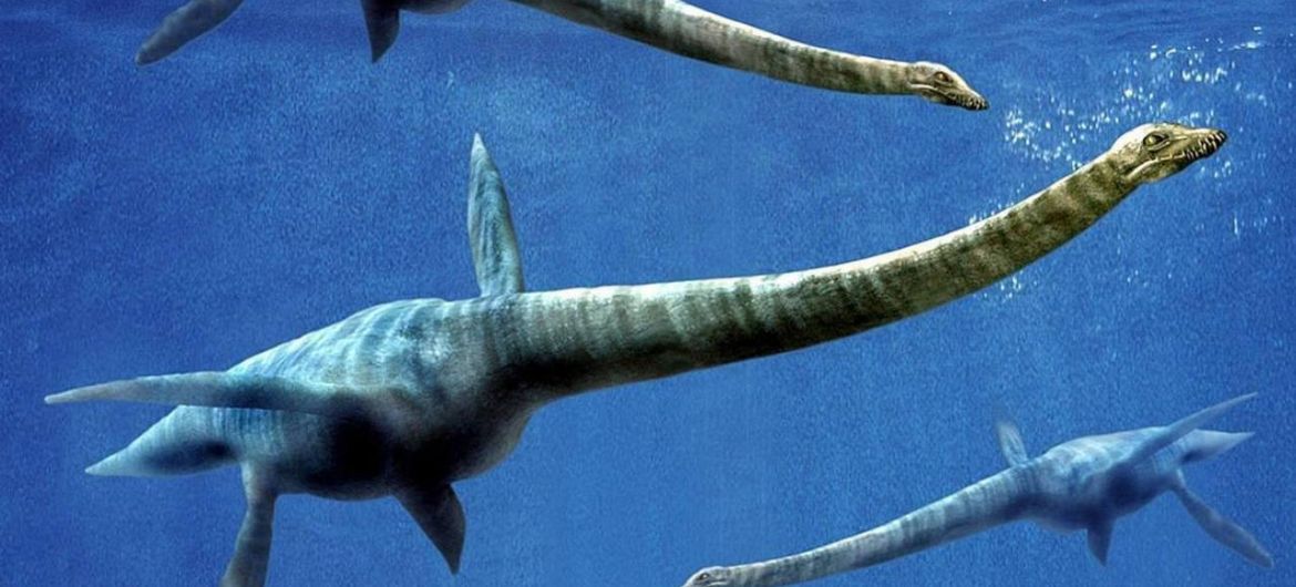 elasmosáuridos en la antartida