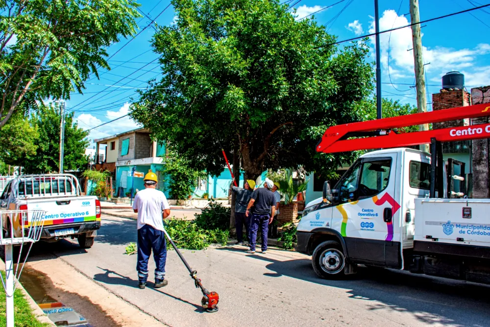tareas de mantenimiento muni
