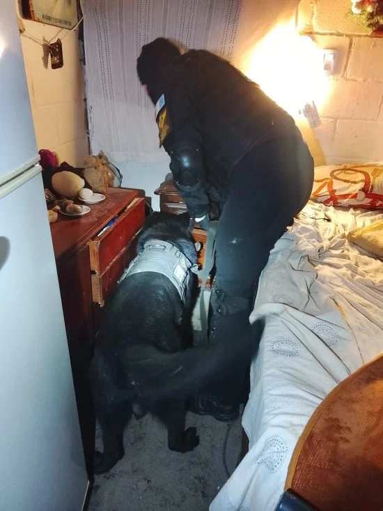 la FPA