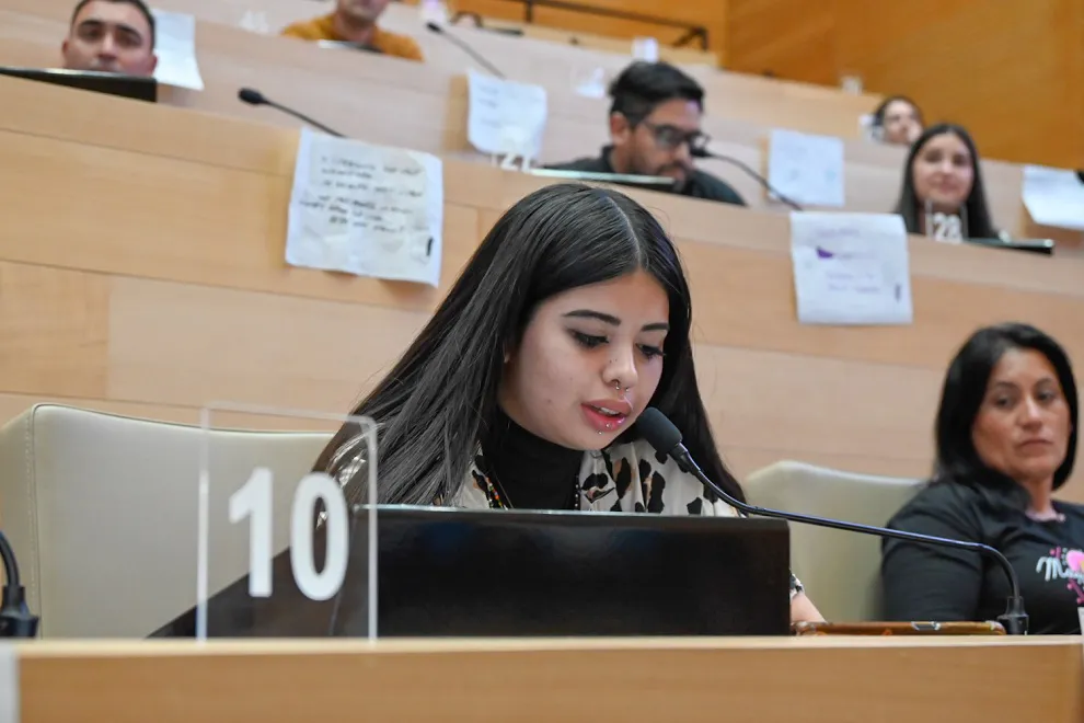 Parlamento Jóvenes y Adultos