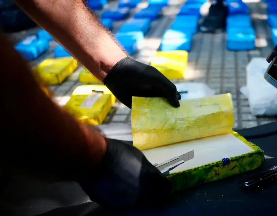 carteles-narcotrafico_ NA