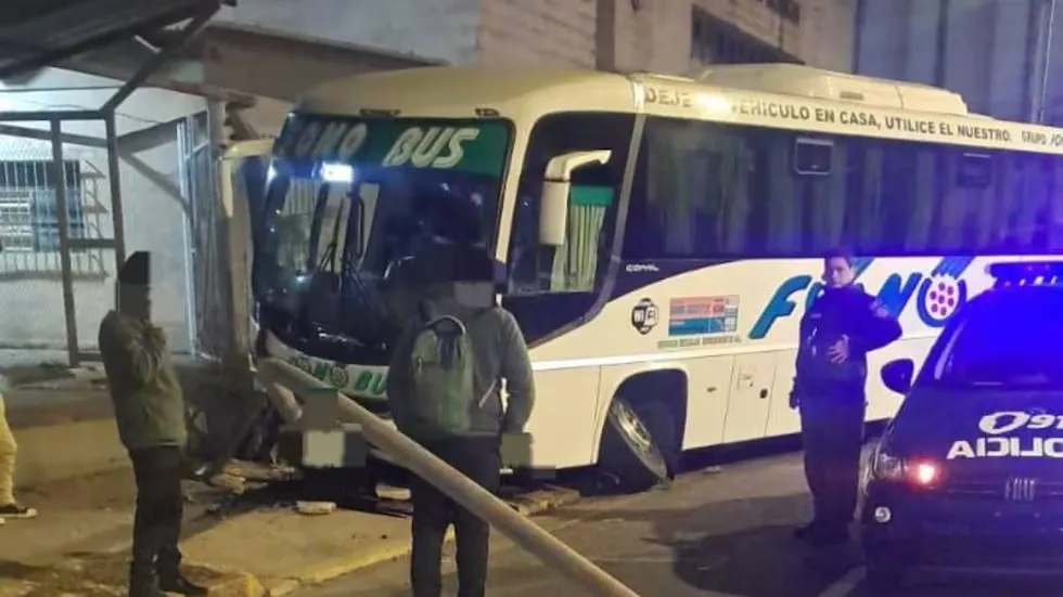 colectivo