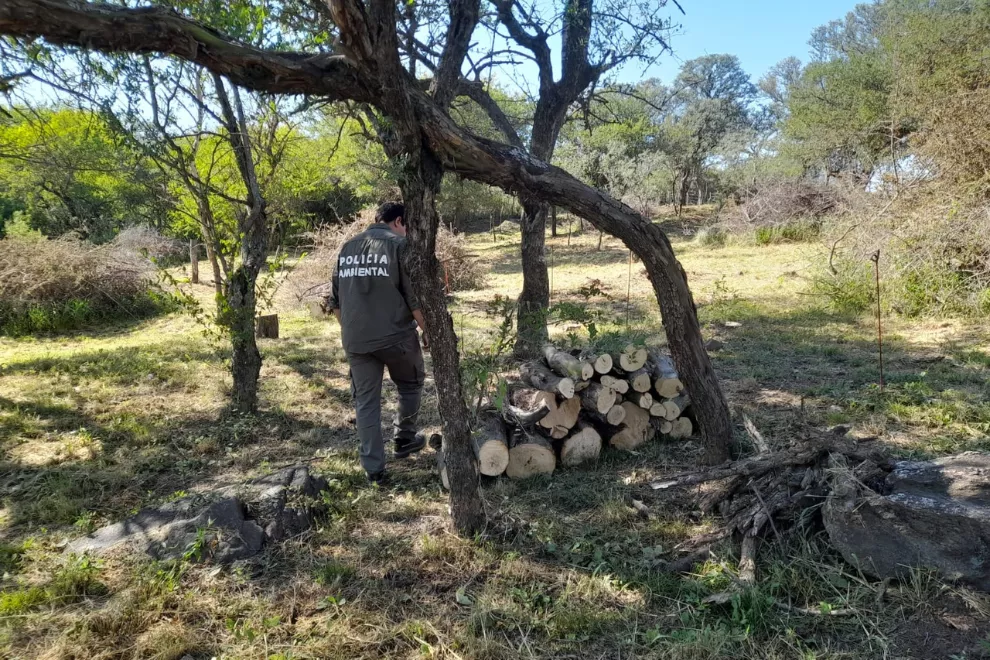 policía ambiental