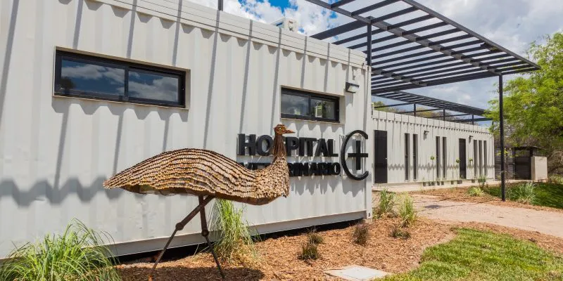 hospital público de animales