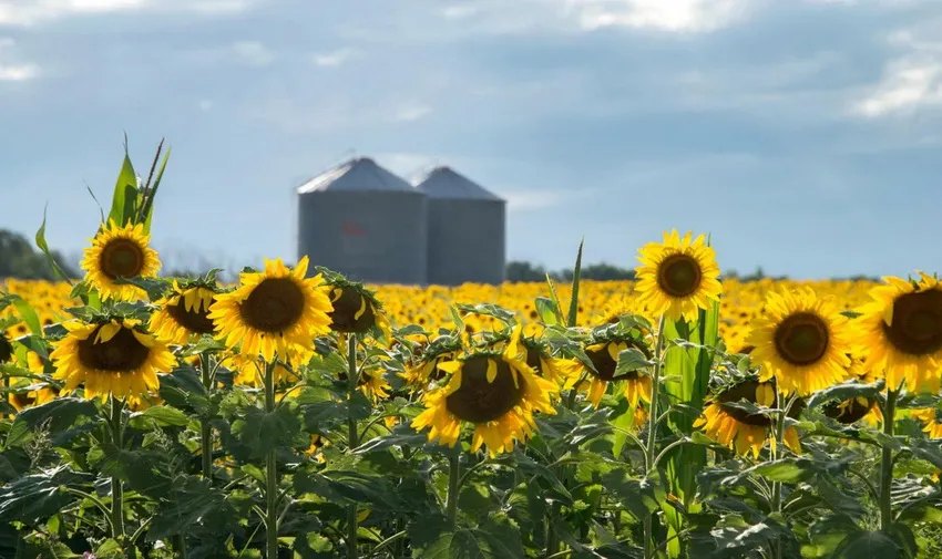 campo-siembra-retenciones_ NA