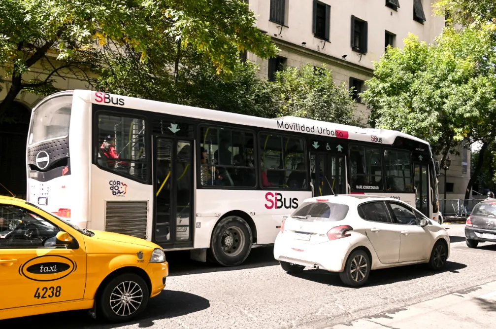 colectivo SiBuS