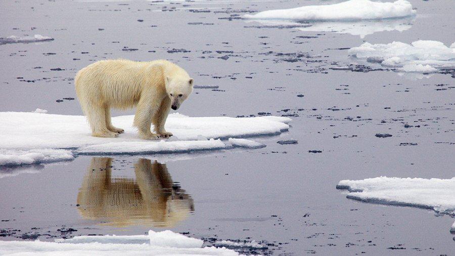 cambio climático