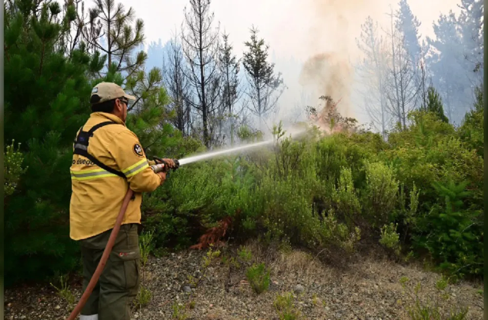 El incendio en Puerto Patriada está contenido