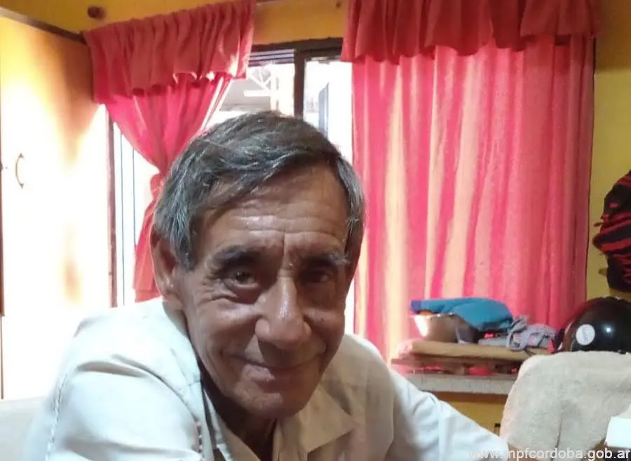 búsqueda