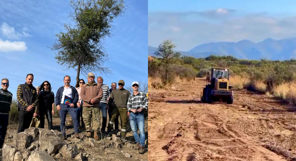 calles cortafuegos 2