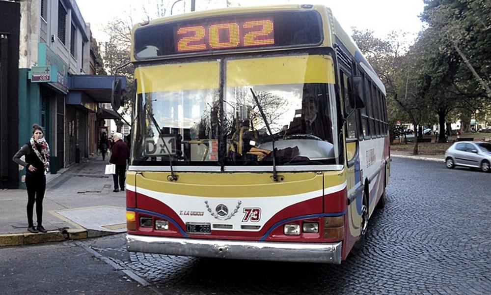 línea 202