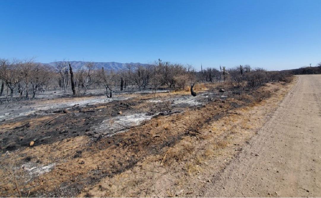 Incendios Forestales traslasierras