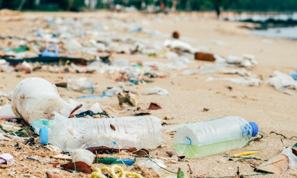 Contaminación-plásticos_ gentileza