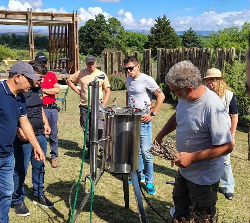 producción-de-lavanda_ cba.gov.ar