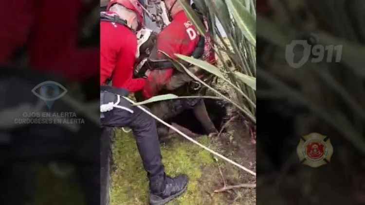 rescate