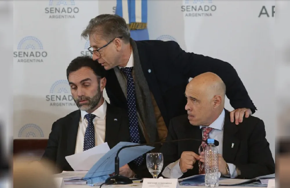 senado ley de bases
