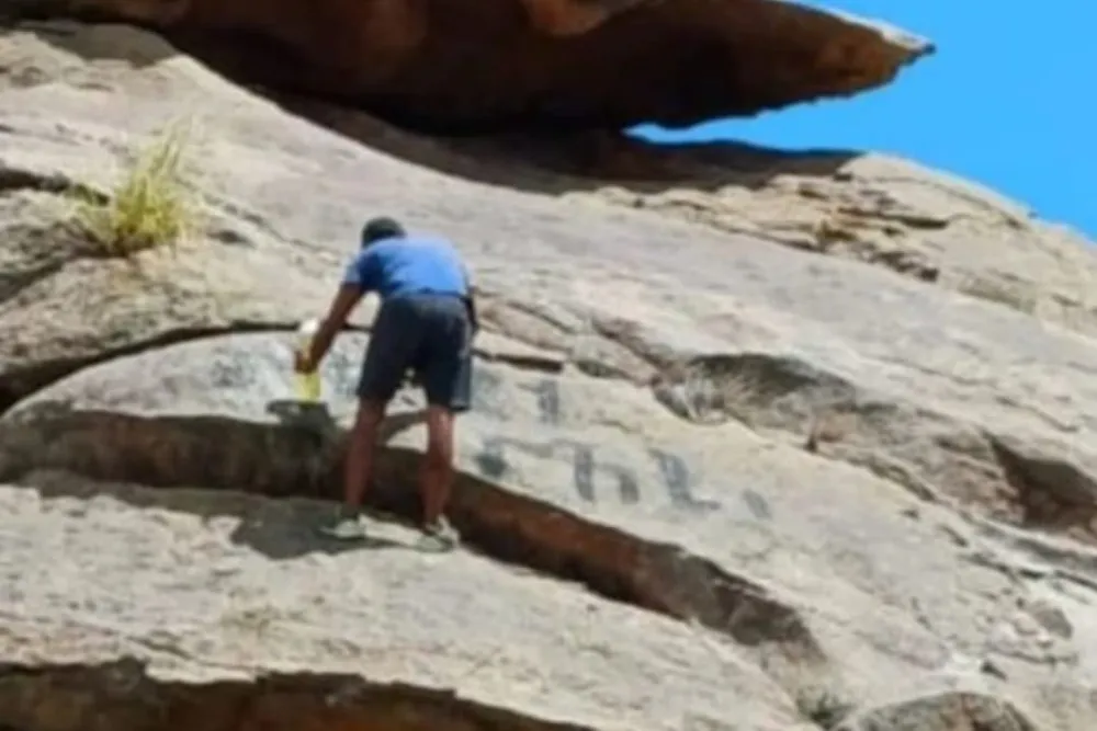 WhatsApp Image 2024-01-29 at 20.01.09