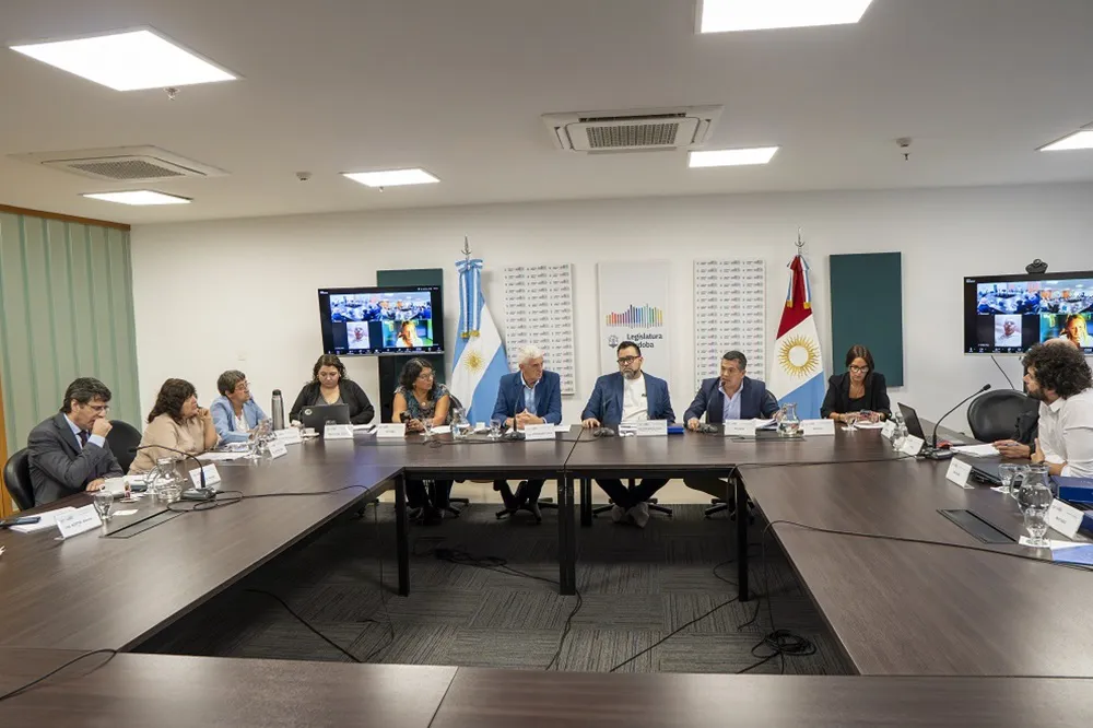 Comisión-conjunta-discapacidad-y-educación-2