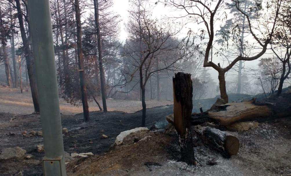 incendios-cordoba(2)_telam