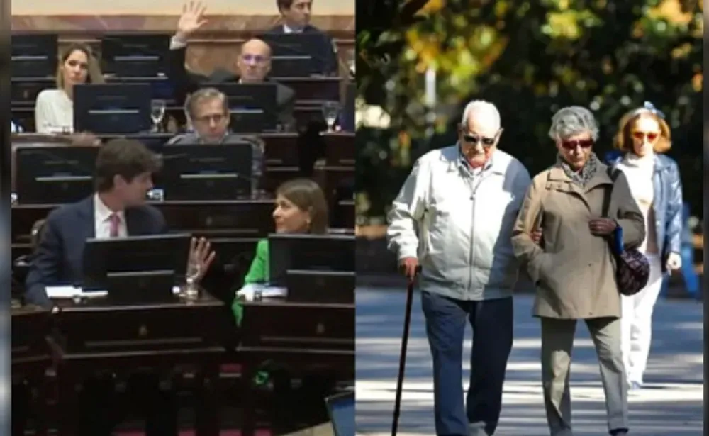Senado  Jubilados