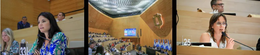 Es ley ficha limpia 2