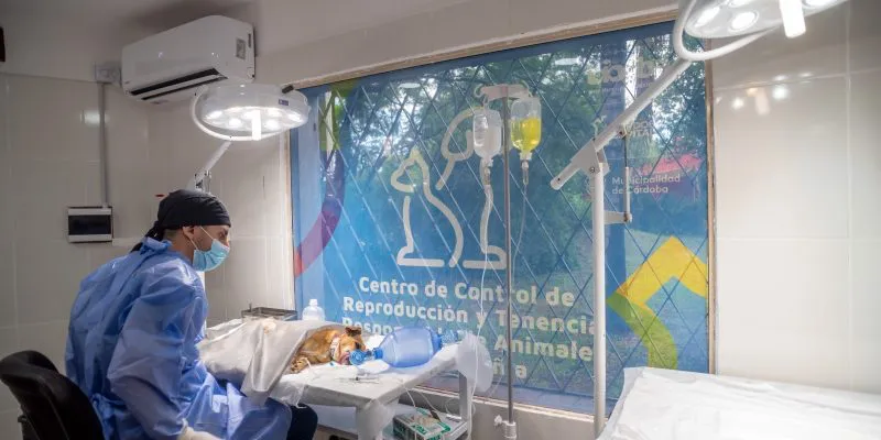 castraciones gratuitas