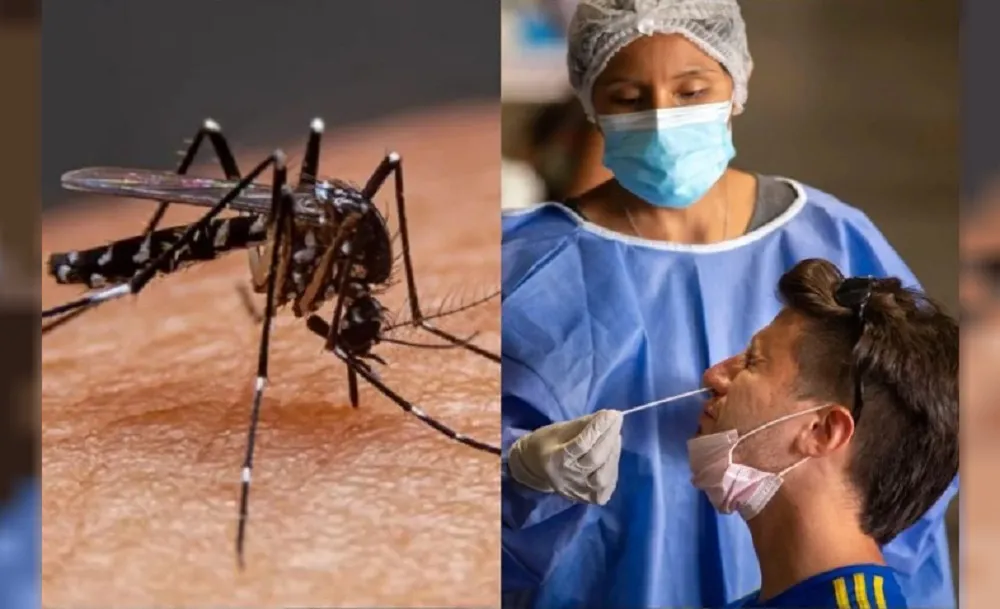 Covidengue