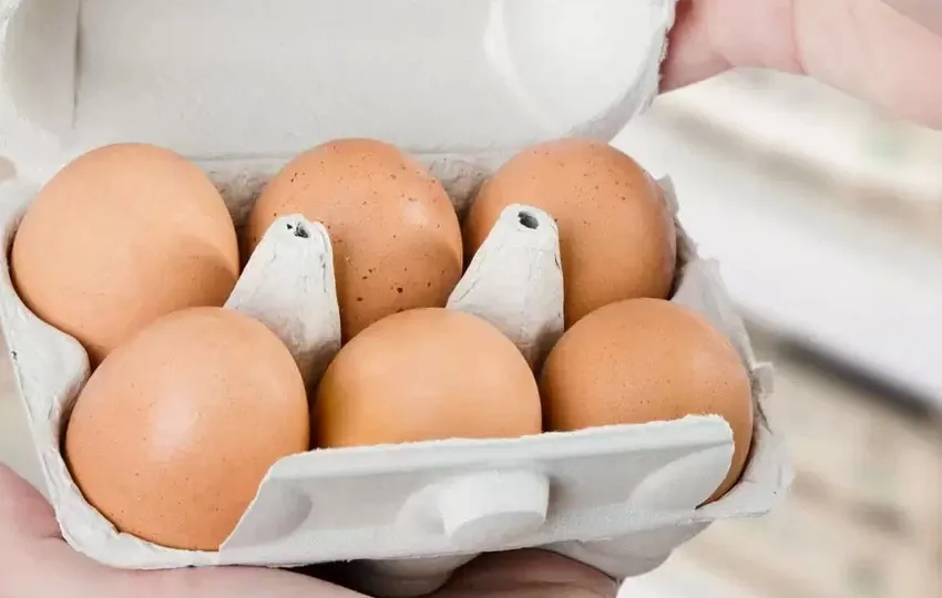 huevos-consumo_ imagen ilustrativa
